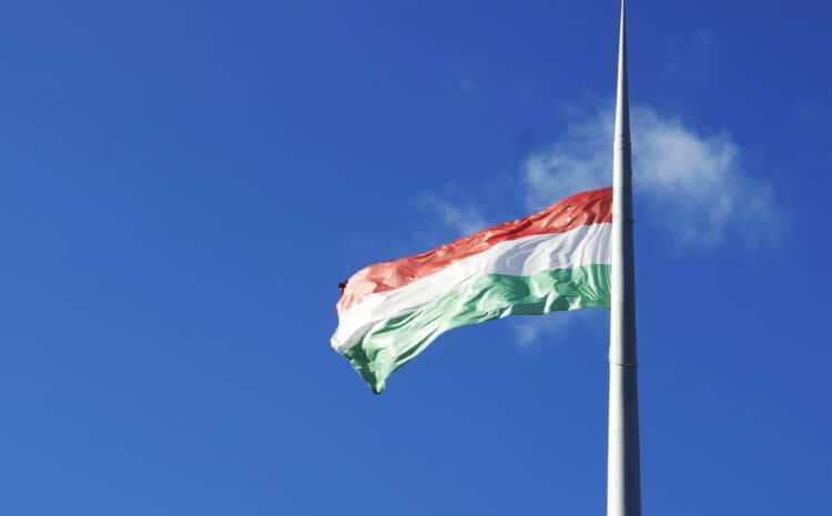  Company registration in Hungary: opportunities and nuances for Ukrainian entrepreneurs