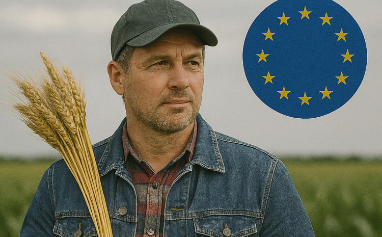  Новые возможности для украинских аграриев на европейском рынке: как подготовиться к изменениям в мировой торговле